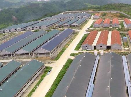 䓸�����B�i����đ���